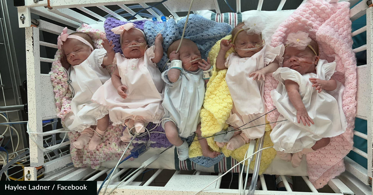 Woman Gives Birth To Rare Quintuplets With 4 Identical Girls Greatergood