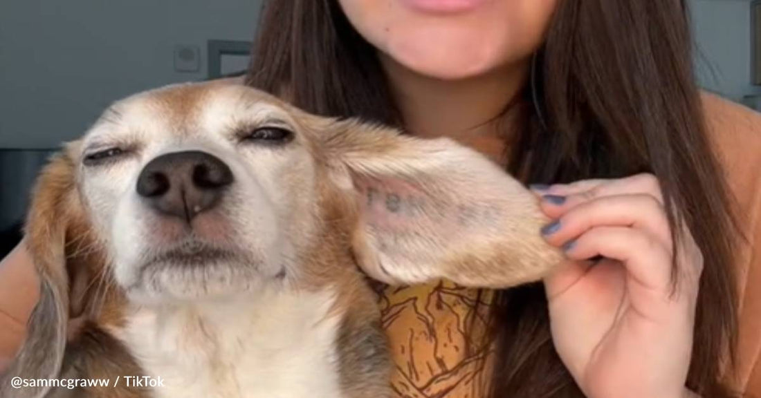 Animal Rights Activist Gets Matching Tattoo With Her Dog