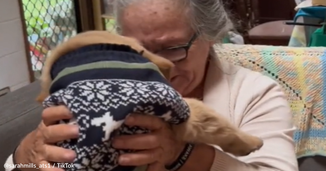 Woman Surprises Grieving Grandma With A New Puppy