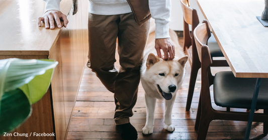 People Aren't Happy About The FDA's Ruling In Favor Of Allowing Dogs At Restaurants