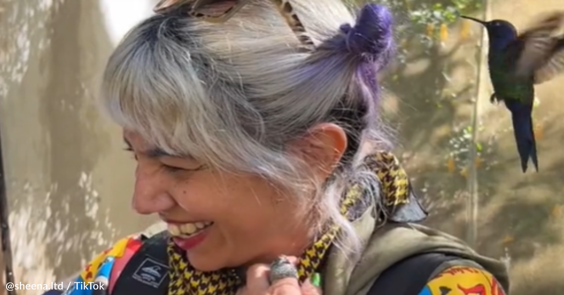 Hummingbird Mistakes Woman's Purple Hair For A Flower