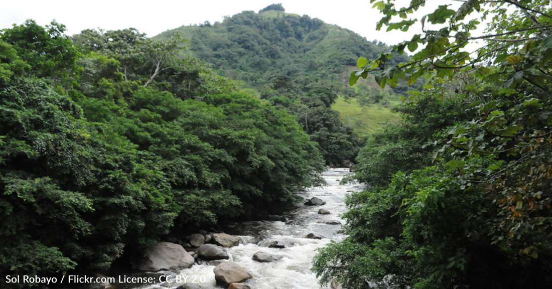 Children Reportedly Survive Plane Crash And Survive 16 Days In The Jungle