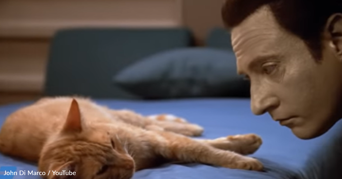 Creator Shares An Ode To The Iconic Cat On "Star Trek: The Next Generation"