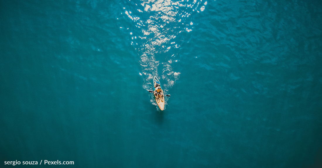 Tiger Shark Attacks Kayaker Fishing Off The Coast Of Oahu