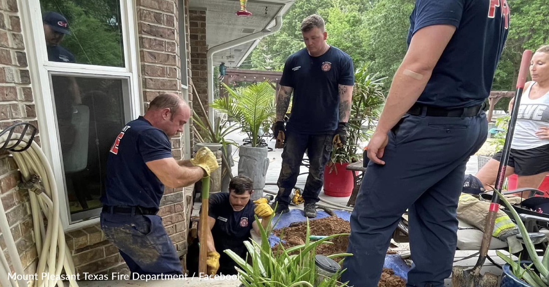 Firefighters Save One-Week-Old Puppy Trapped Under A House