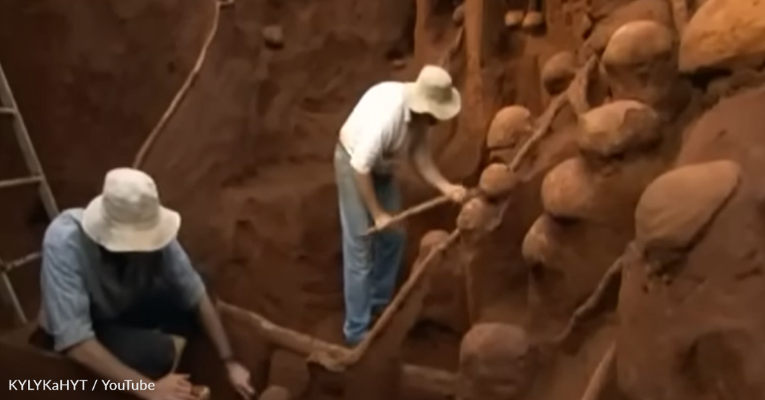 Scientists Discover Massive Ant City Hidden Underground