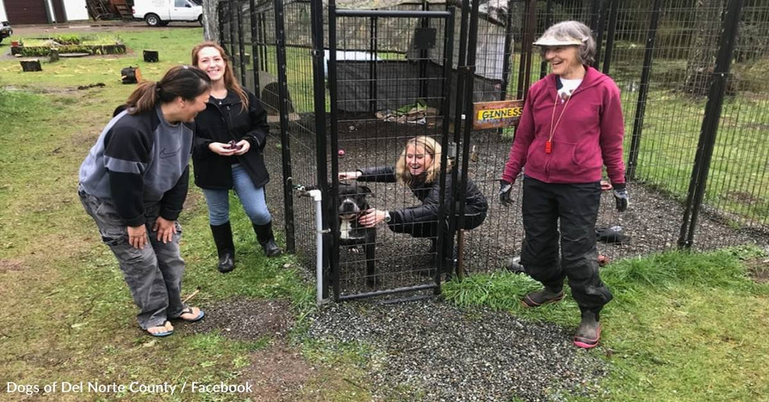 Dog Rescued From Boat Storage Finally Goes Home After 2+ Years In The Shelter