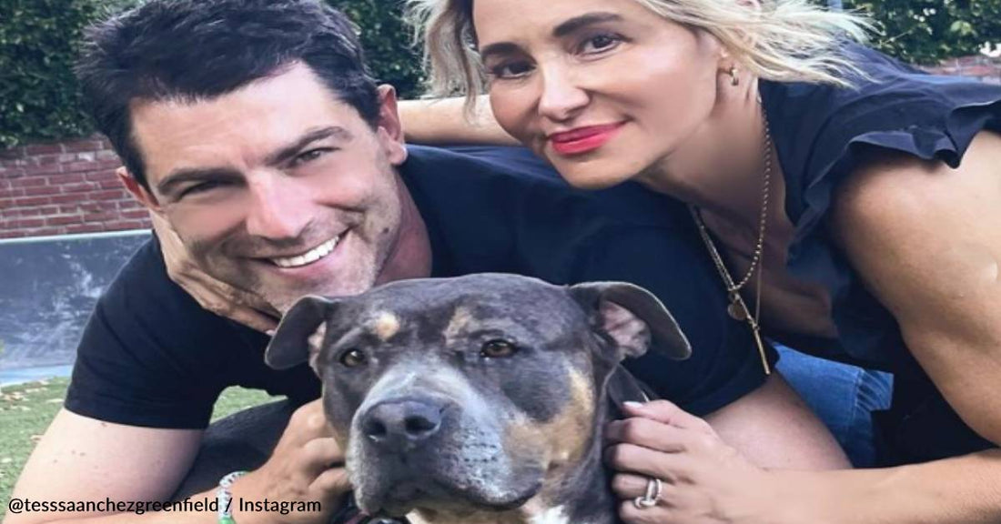 Max Greenfield and His Wife Adopt Dog Who Spent Over A Year Looking For A Home