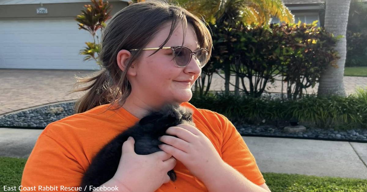Catching Rabbits Florida Rabbit Rescue Saves 19 Bunnies That Were Released In Florida ...