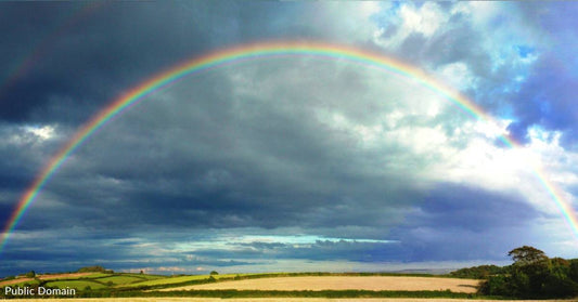 The Surprising History of the Rainbow Bridge Poem