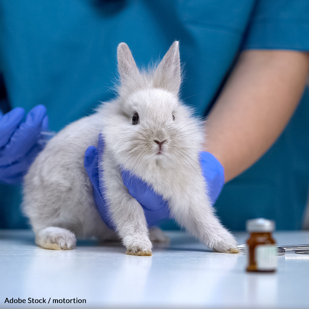 Pledge to Shop Cruelty-Free! | GreaterGood