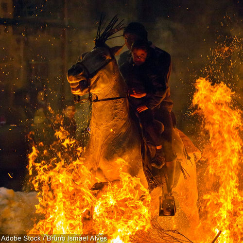 Stop Forcing Horses To Run Through Fires - It's Terrifying And Cruel