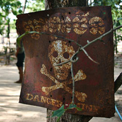 Tell President Obama to Sign the Mine Ban Treaty