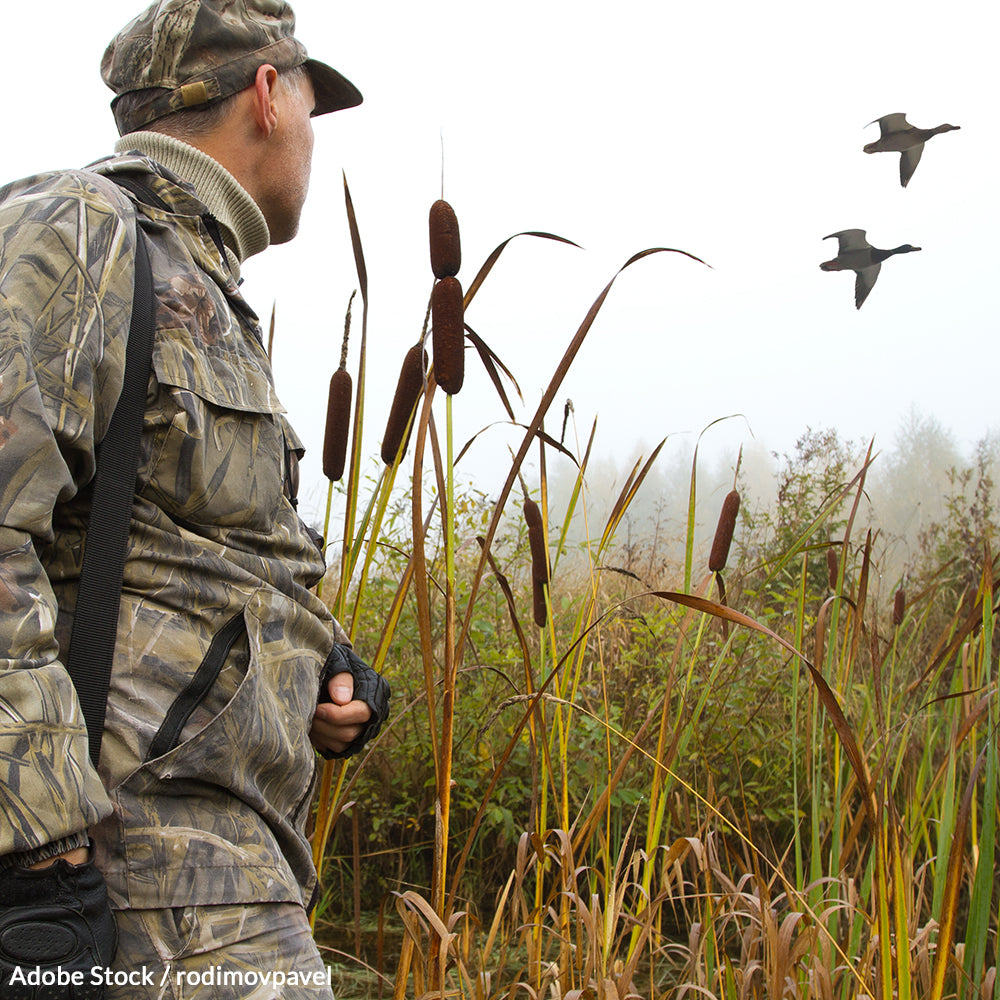 Stop Lead Poisoning From Destroying Our Wildlife