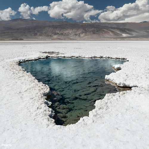 Ban Corporate Exploitation and Save the Great Salt Lake