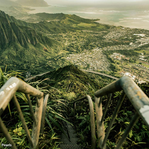 Protect Our Planet and People — Ban Toxic Herbicides in Hawaii