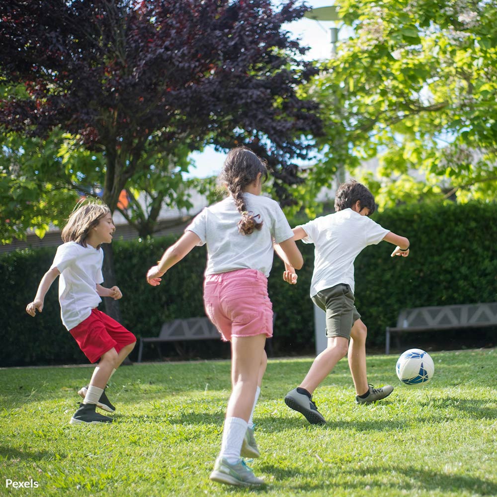 Stop PFAS in Artificial Turf from Poisoning Our Children
