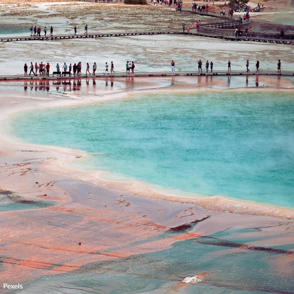 Pledge To Protect Yellowstone’s Natural Beauty