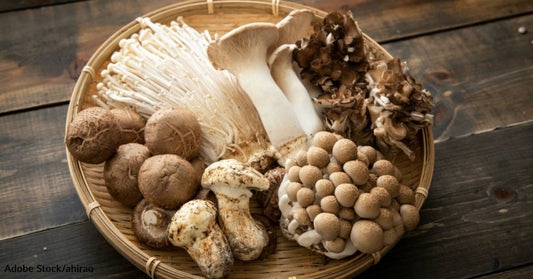 Adding More Mushrooms to Your Diet May Decrease Your Risk of Cancer, Study Shows