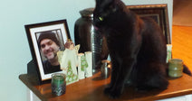 Black cat sitting on a wooden table beside a framed photo and decorative items.