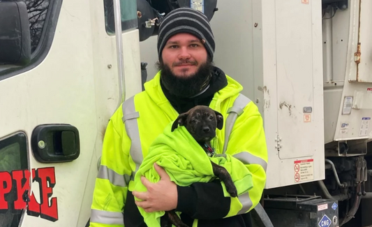 Garbage Man Finds A Puppy Thrown Out With The Trash And Gives Her A Forever Home
