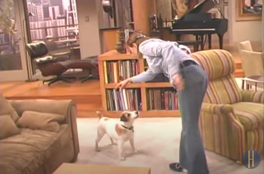 A Few Fun Facts About the Rescue Dog that Played Eddie on "Frasier"