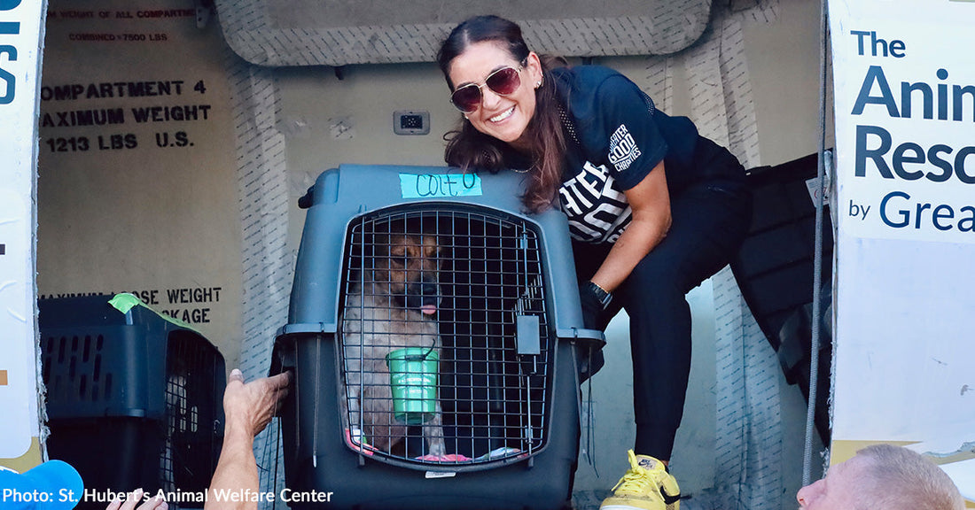 dog in plastic carrier with woman smiling beside it