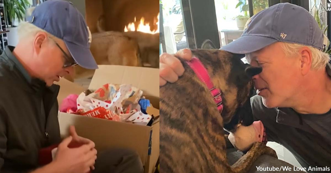 Fur Dad Cried Out of Happiness After Learning That They Could Adopt Their Foster Dog