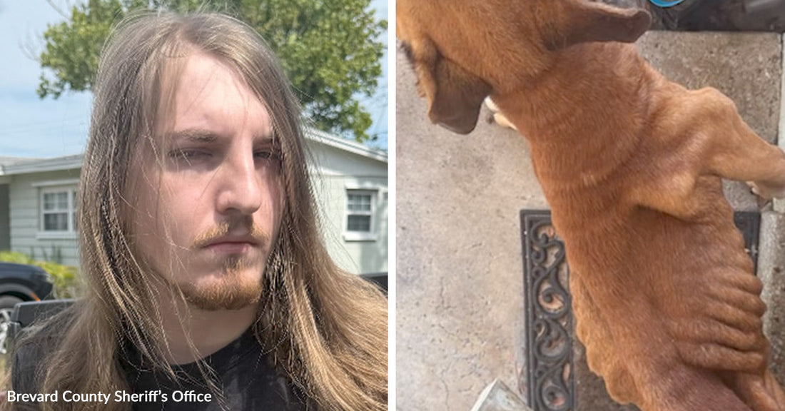Left: Man with long hair in a mugshot; Right: Severely underweight dog with visible ribs standing on a porch.