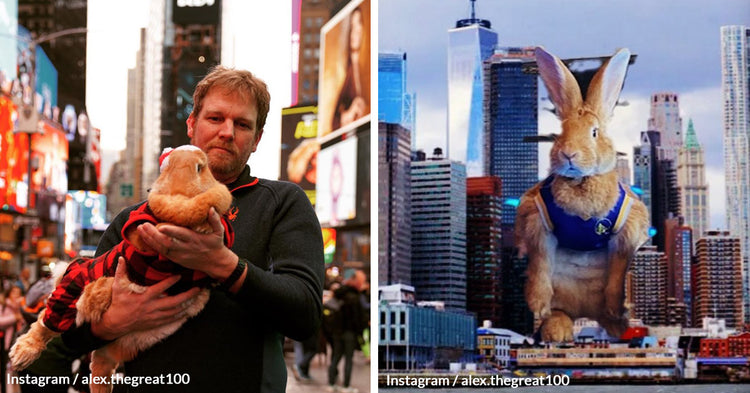 From Meat Market to Celebrity Therapist The Incredible Journey of 30 ...