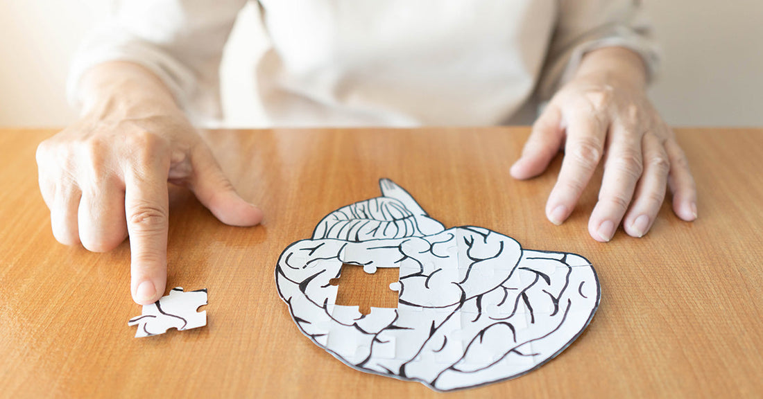 hands with paper brain with one piece missing
