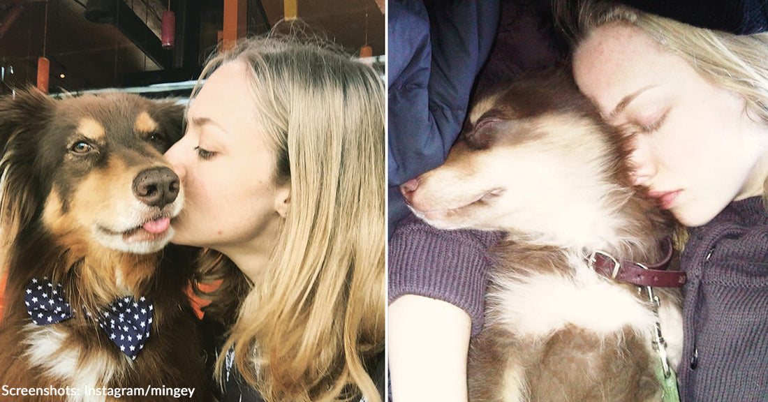 woman kissing and hugging Australian shepherd dog