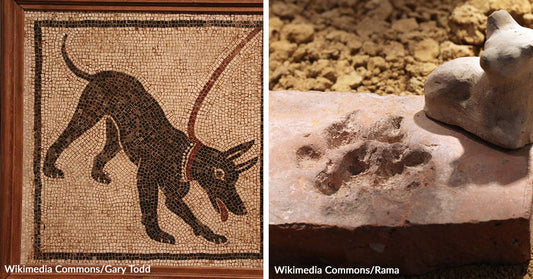 Split image showing a Roman dog mosaic on the left and a carved stone dog statue on the right, both historical depictions of dogs in ancient Rome.
