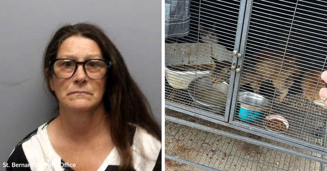 Split image of a woman’s mugshot beside a wire animal enclosure holding bowls, food, and a reddish-brown animal inside.