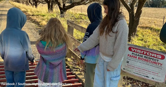 Children standing at a farm entrance with a biosecurity sign, enjoying the outdoors.