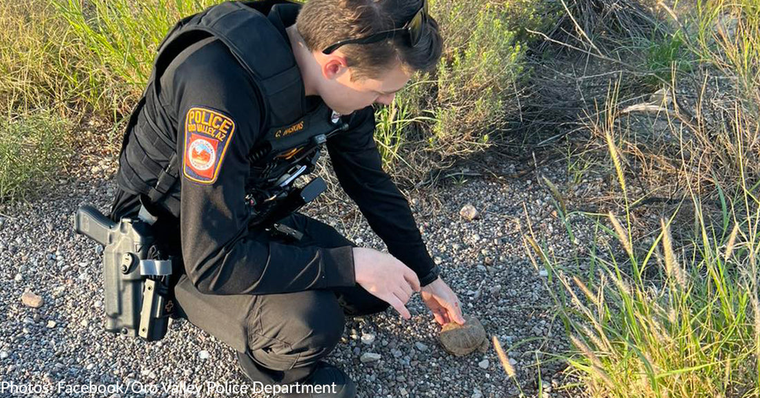 Arizona Police Department Responds To Call About Animal In Need Of Help In Dog Park