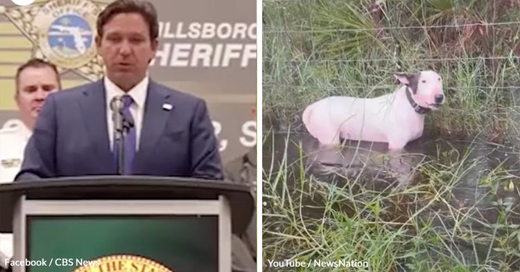 Florida Man Arrested After Leaving Dog to Face Hurricane Milton Alone ...