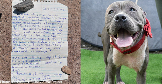 Atlanta Shelter Posts Heartfelt Response To Owner Who Left A Handwritten Note Alongside Abandoned Dog