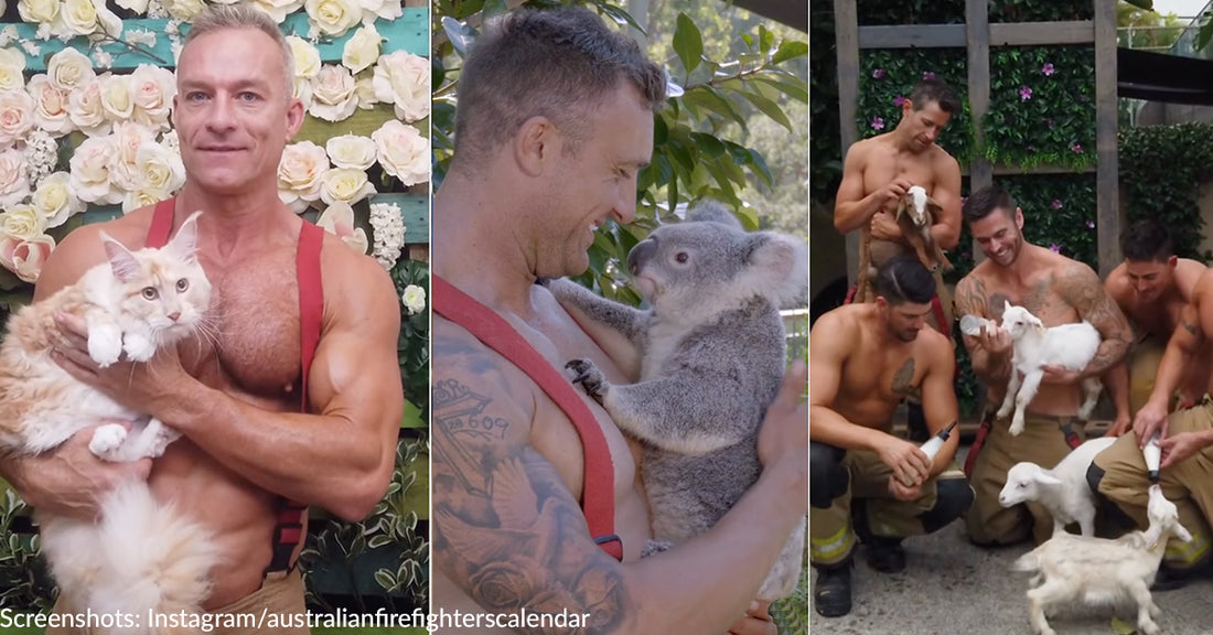 Australian Firefighters Take Off Their Shirts Again And Pose With Adorable Animals To Raise Funds For Charities