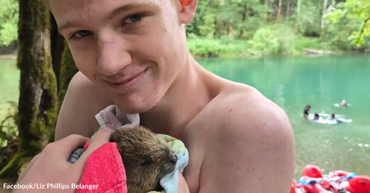 A smiling child holds a rescued baby beaver wrapped in towels near a river.