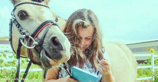 12 Best Horse Books Of All Time