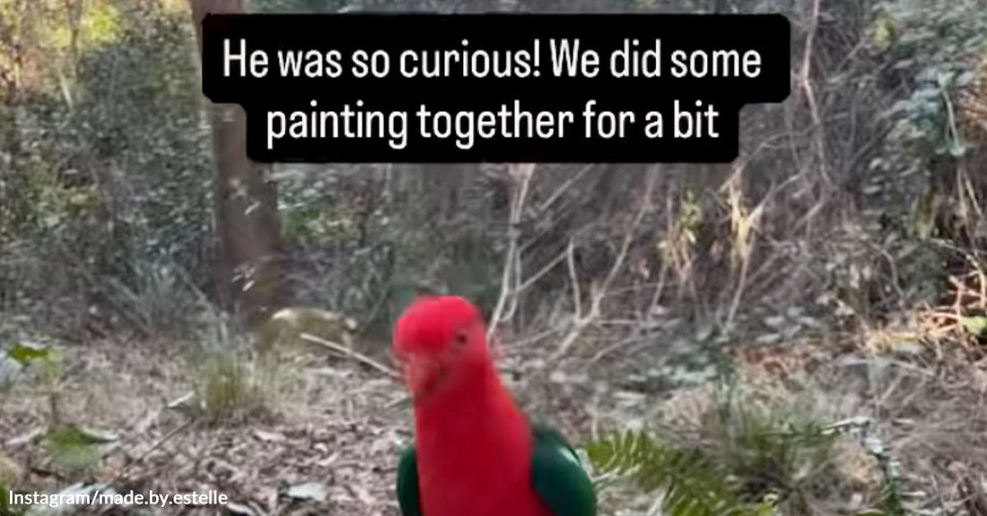A red parrot amidst forest trees. Words on the image read, "He was so curious! We did some painting together for a bit."