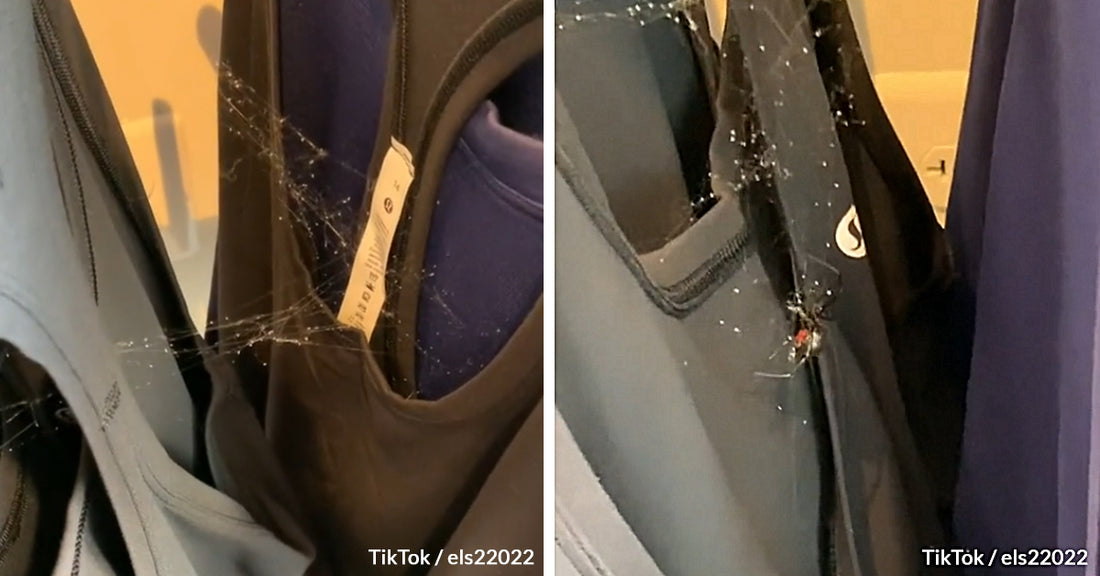 Woman Discovers Something Horrifying Hiding Between The Clothing Racks While Shopping