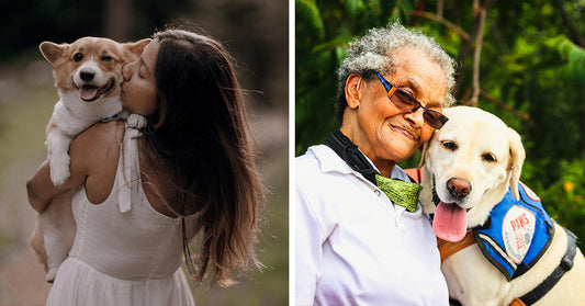How Loving a Dog Can Awaken Your Soul and Save Your Health