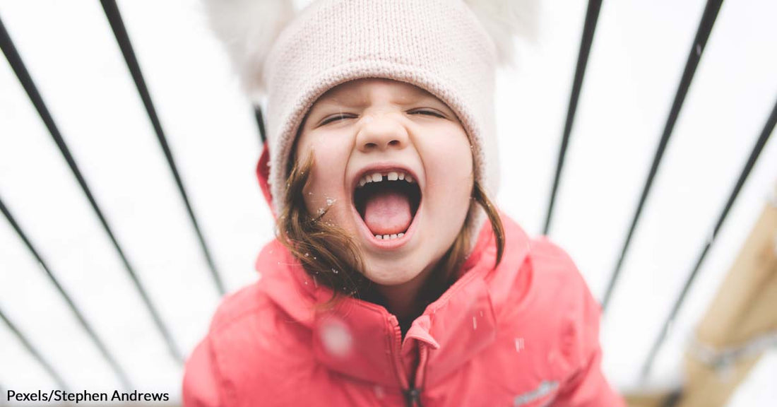 The Moment This Woman's Bratty Cousin Started a Tantrum, The Thanksgiving Spirit Flew Out the Window