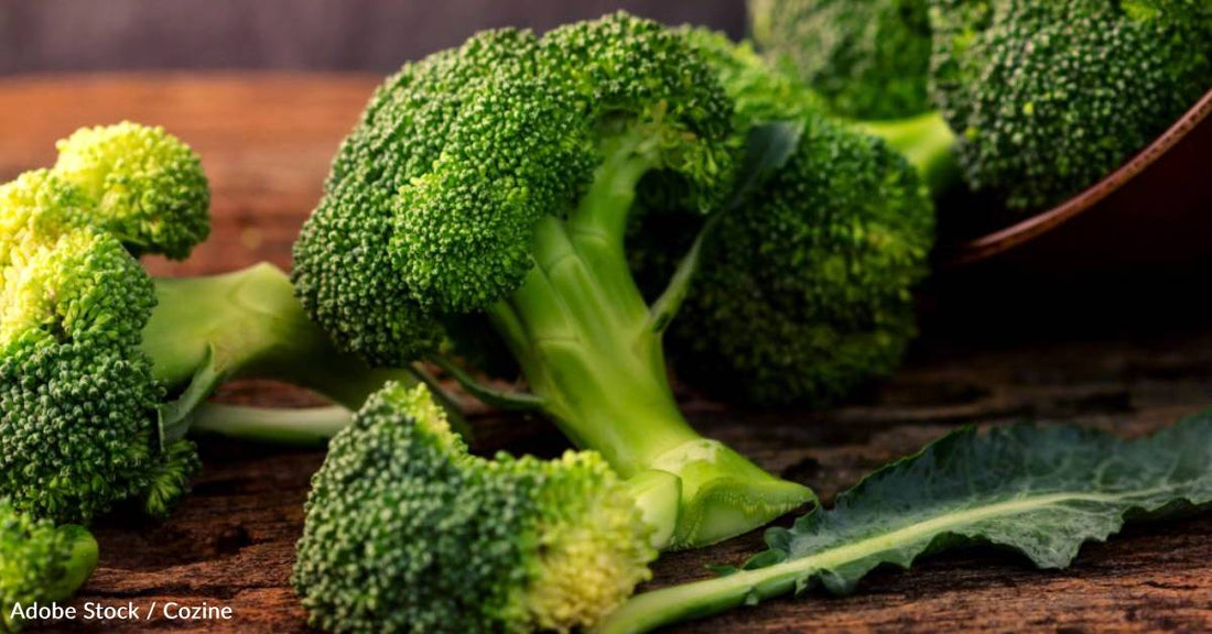 Study Finds That Eating Broccoli May Protect Your Gut Lining and Prevent Disease