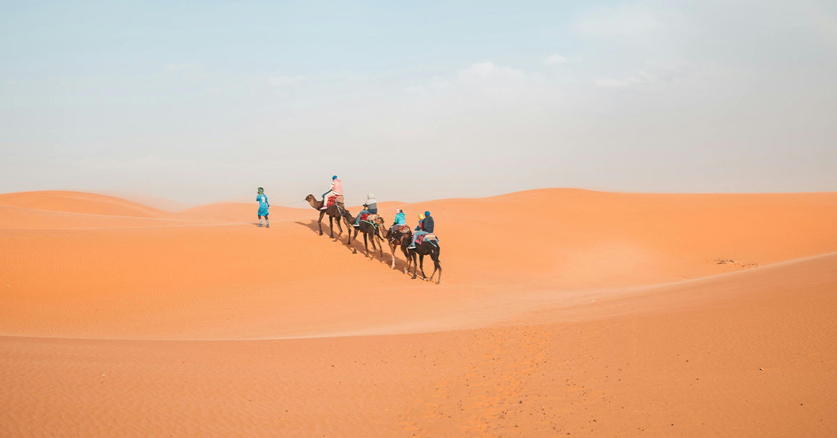 Monte platform - Camel