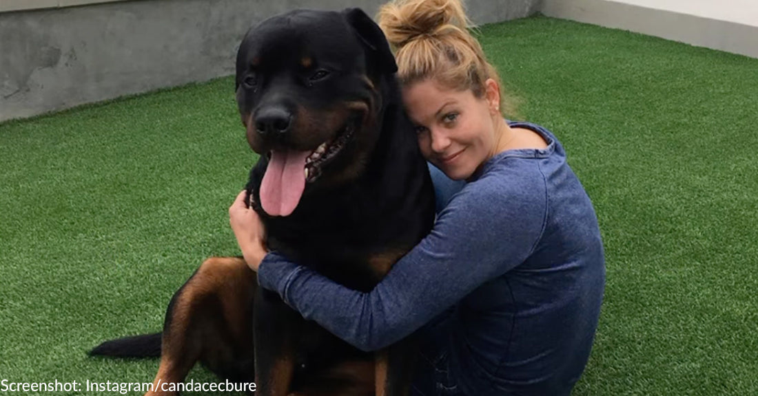 Candace Cameron Bure Heartbroken Over Death Of Beloved Rottweiler, Boris