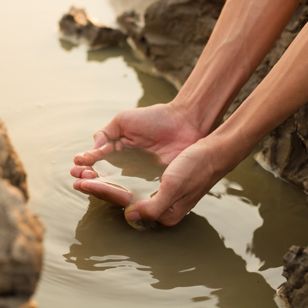 A person gently releases a small fish into shallow, murky water between rocky outcroppings.