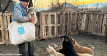 Ukrainians Flee the Frontlines Bringing the Dozens of Animals They Rescued with Them